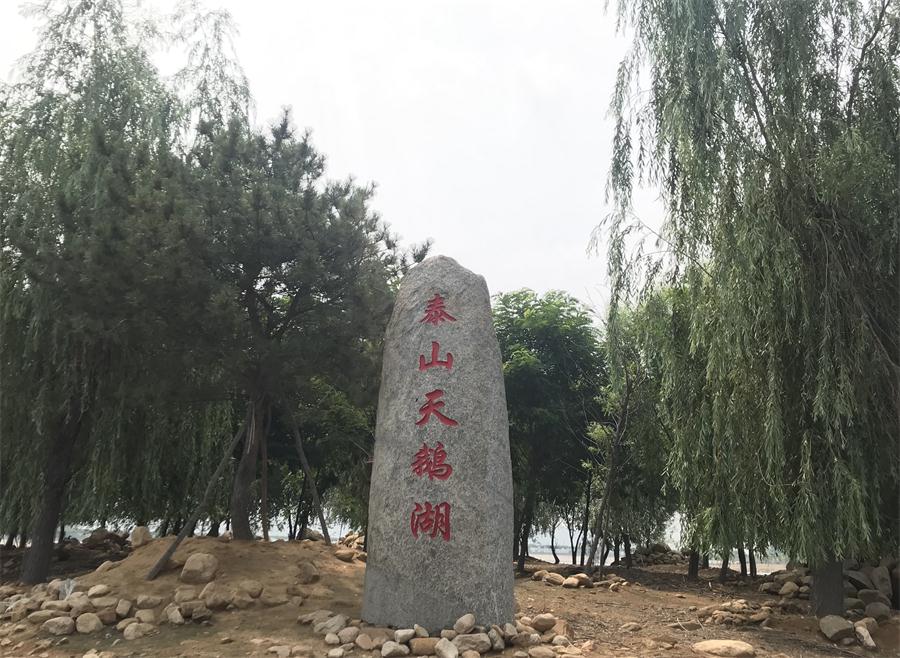天鵝湖風(fēng)景區(qū)（泰山）速覽！(圖12)