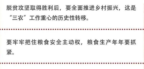 2020年中央農(nóng)村工作會議精神速覽！(圖2)
