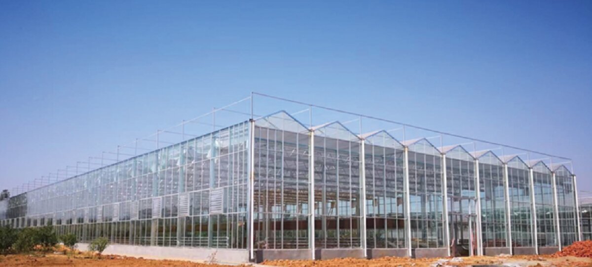 信橋鋼構(gòu)：打卡蒙陰農(nóng)業(yè)溫室大棚、青州黑牛養(yǎng)殖基地！(圖2)